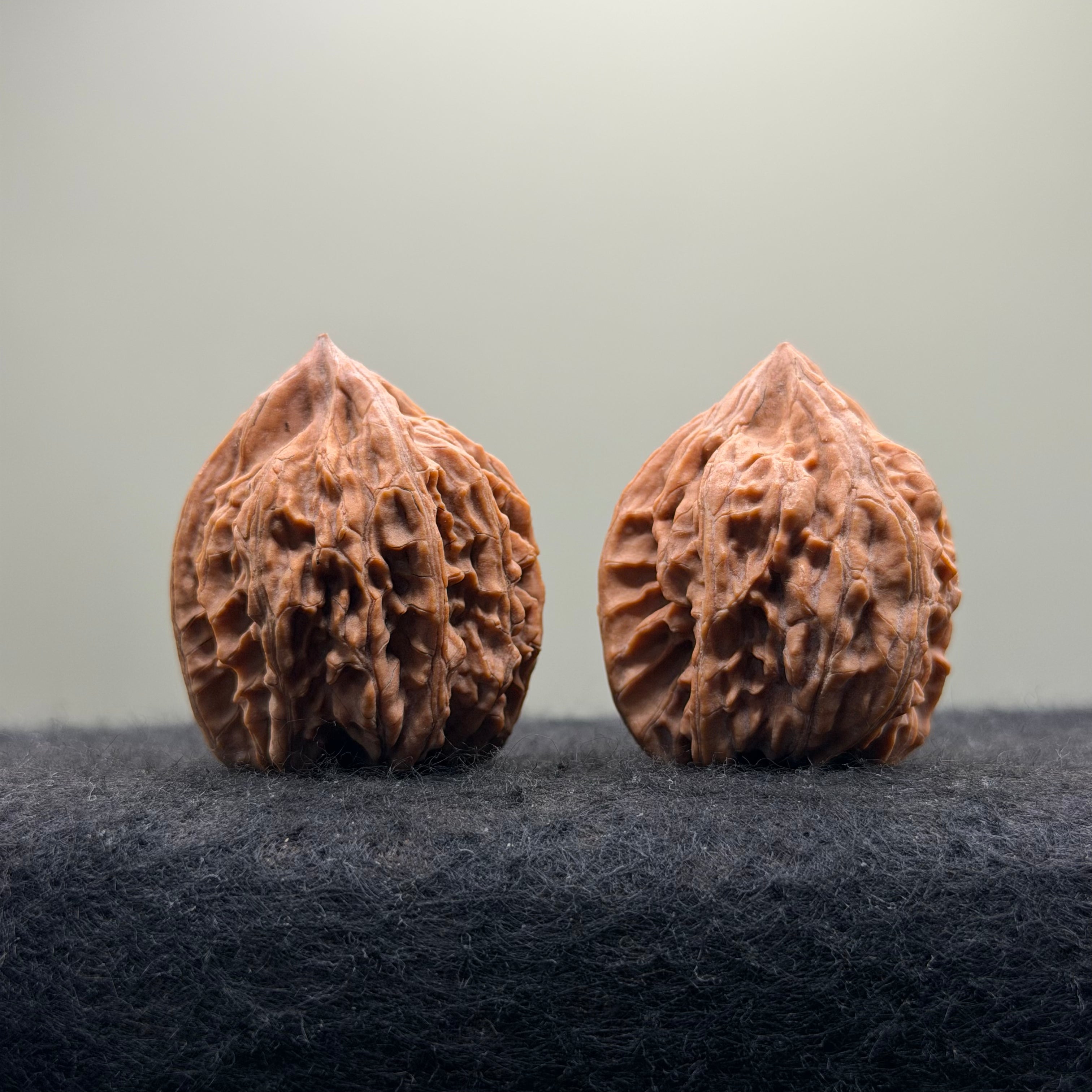 Three-Rib Wenwan Walnut · 34mm · Natural · Entry Ritual