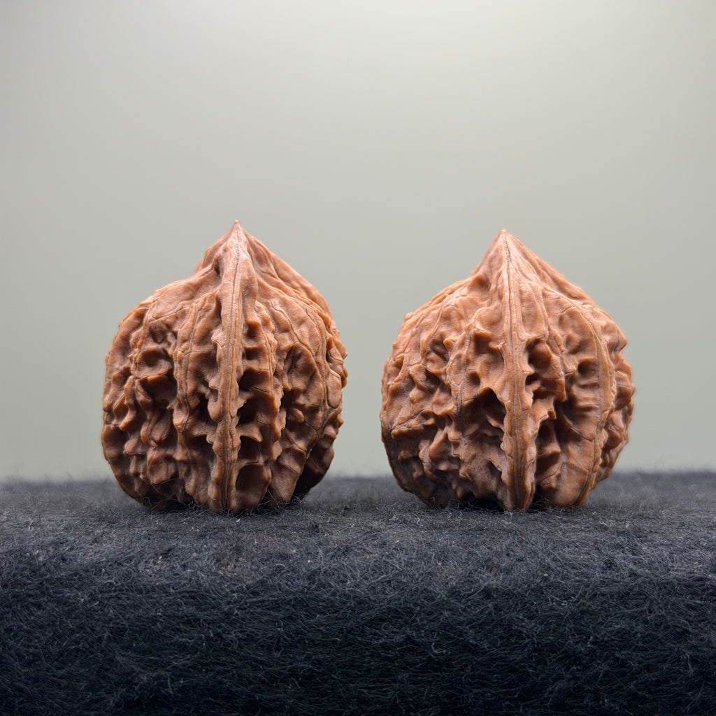 Three-Rib Wenwan Walnut · 34mm · Natural · Entry Ritual