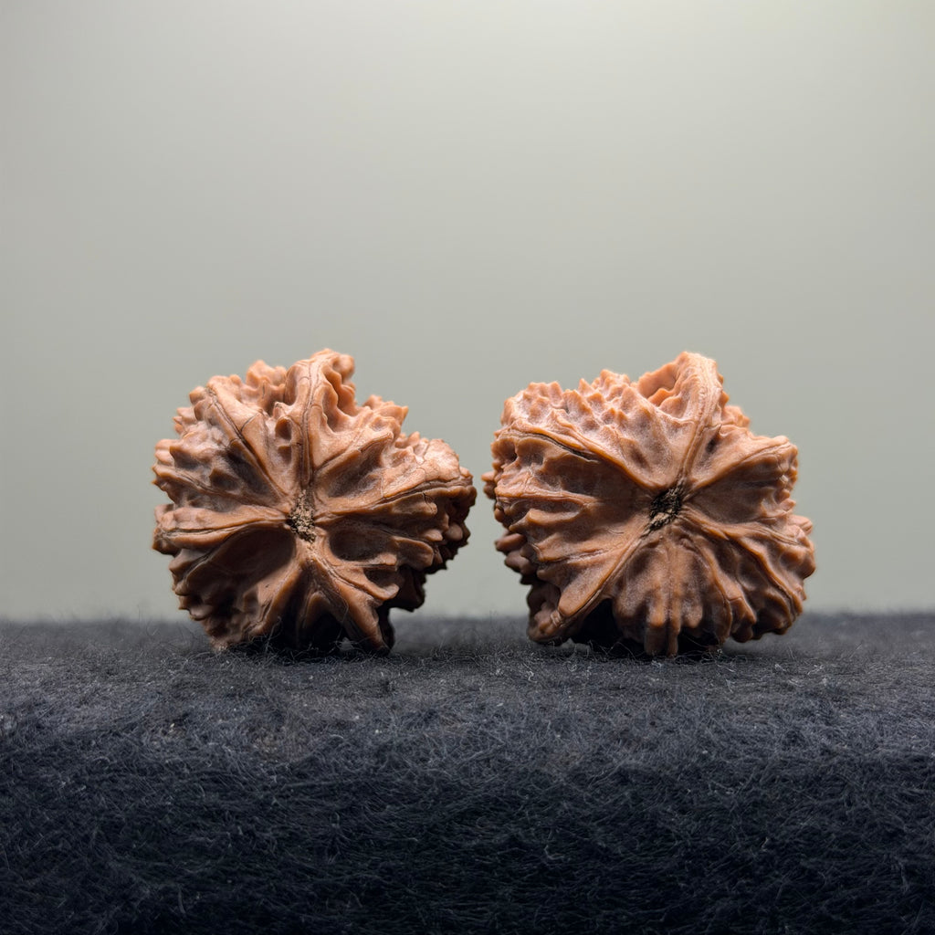 Three-Rib Wenwan Walnut · 34mm · Natural · Entry Ritual