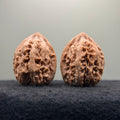 Dagushi Wenwan Walnut  · 46mm · Select Ritual
