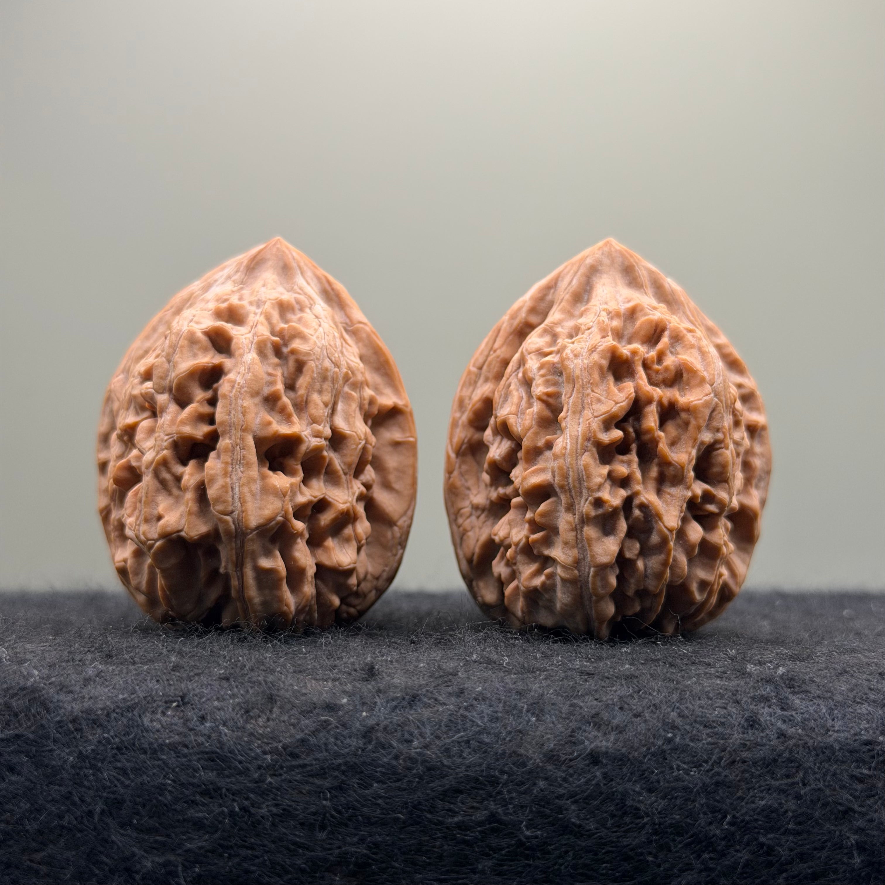Dagushi Wenwan Walnut  · 46mm · Select Ritual