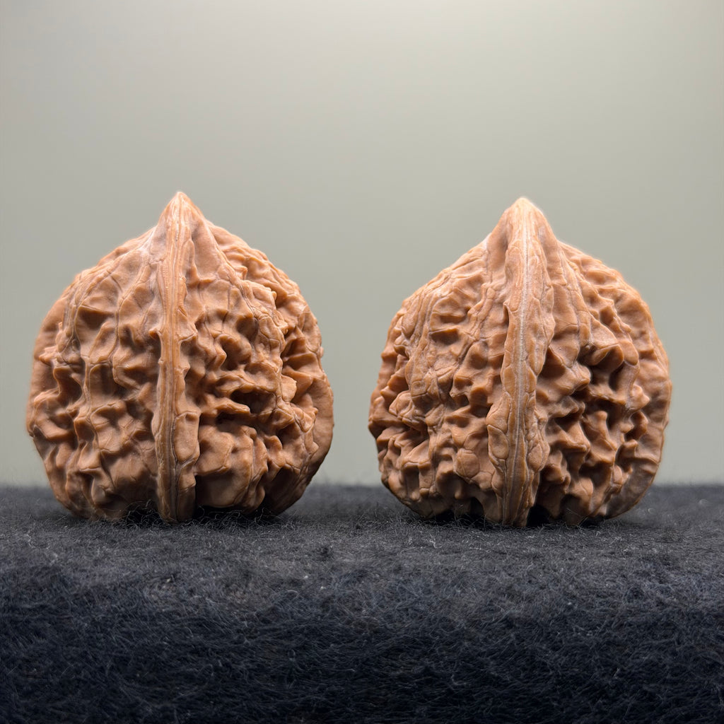 Dagushi Wenwan Walnut  · 46mm · Select Ritual