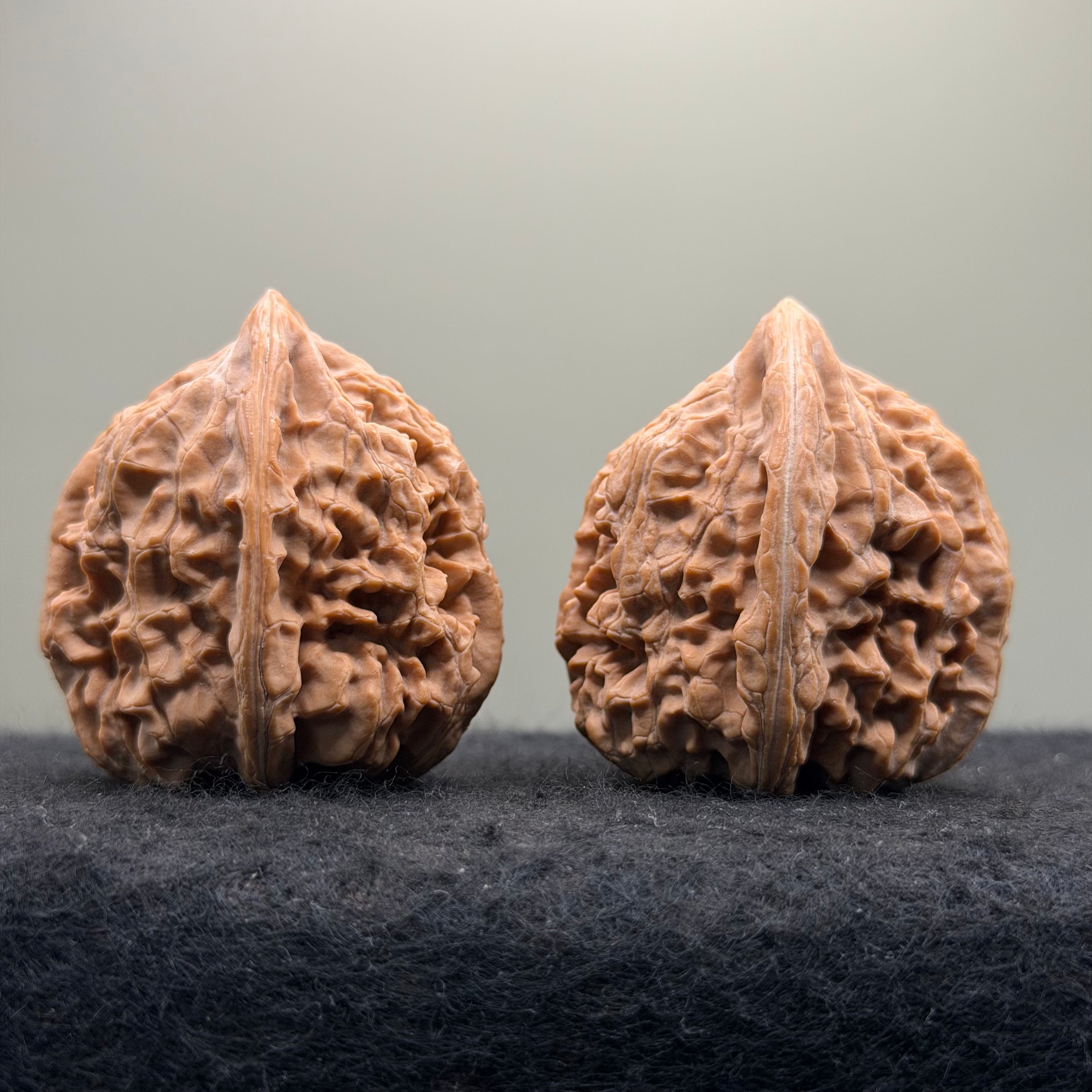 Dagushi Wenwan Walnut  · 46mm · Select Ritual