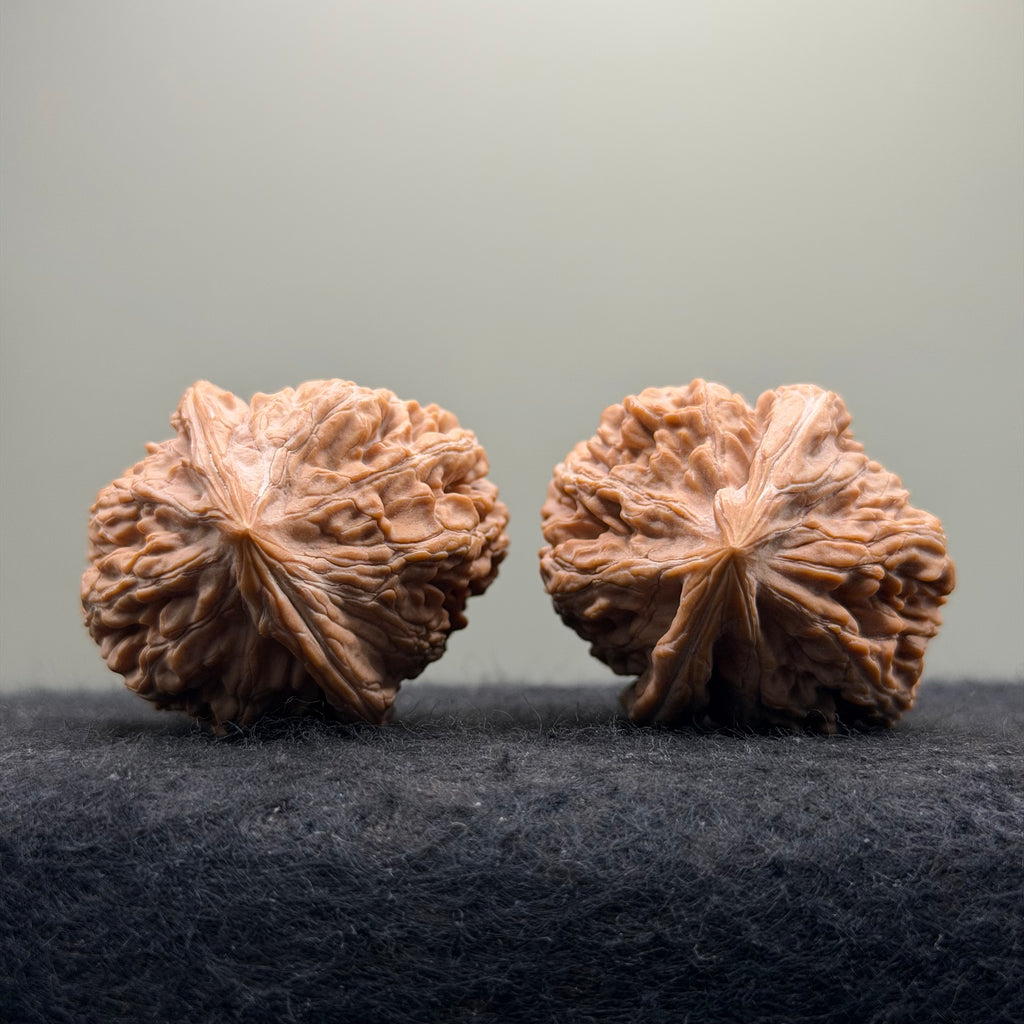 Dagushi Wenwan Walnut  · 46mm · Select Ritual