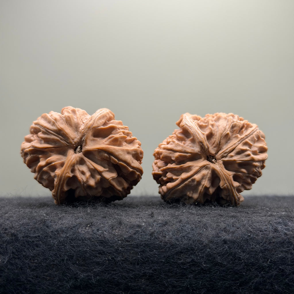 Dagushi Wenwan Walnut  · 46mm · Select Ritual