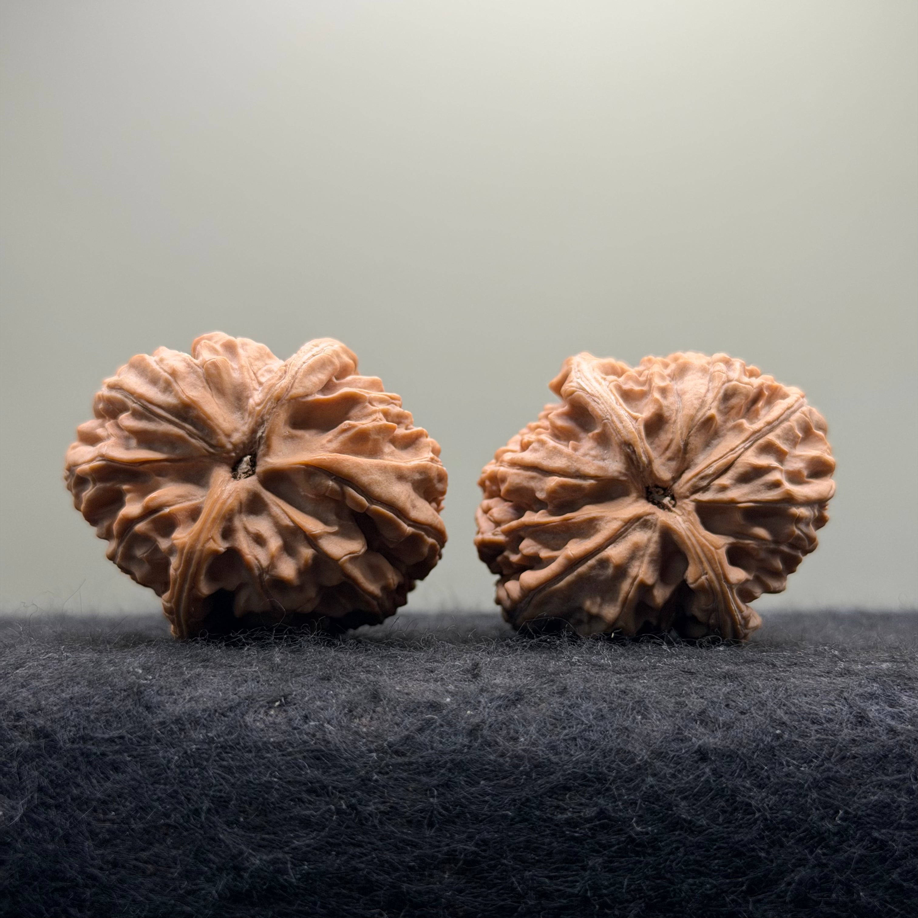 Dagushi Wenwan Walnut  · 46mm · Select Ritual