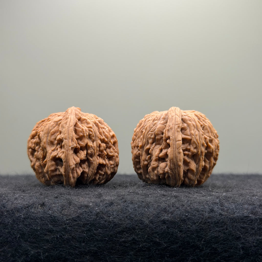 Dense Grain Wenwan Walnut · 37mm · Natural · Entry Ritual