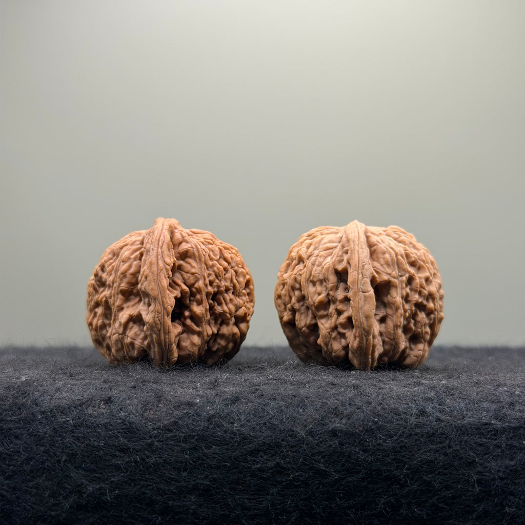 Dense Grain Wenwan Walnut · 37mm · Natural · Entry Ritual