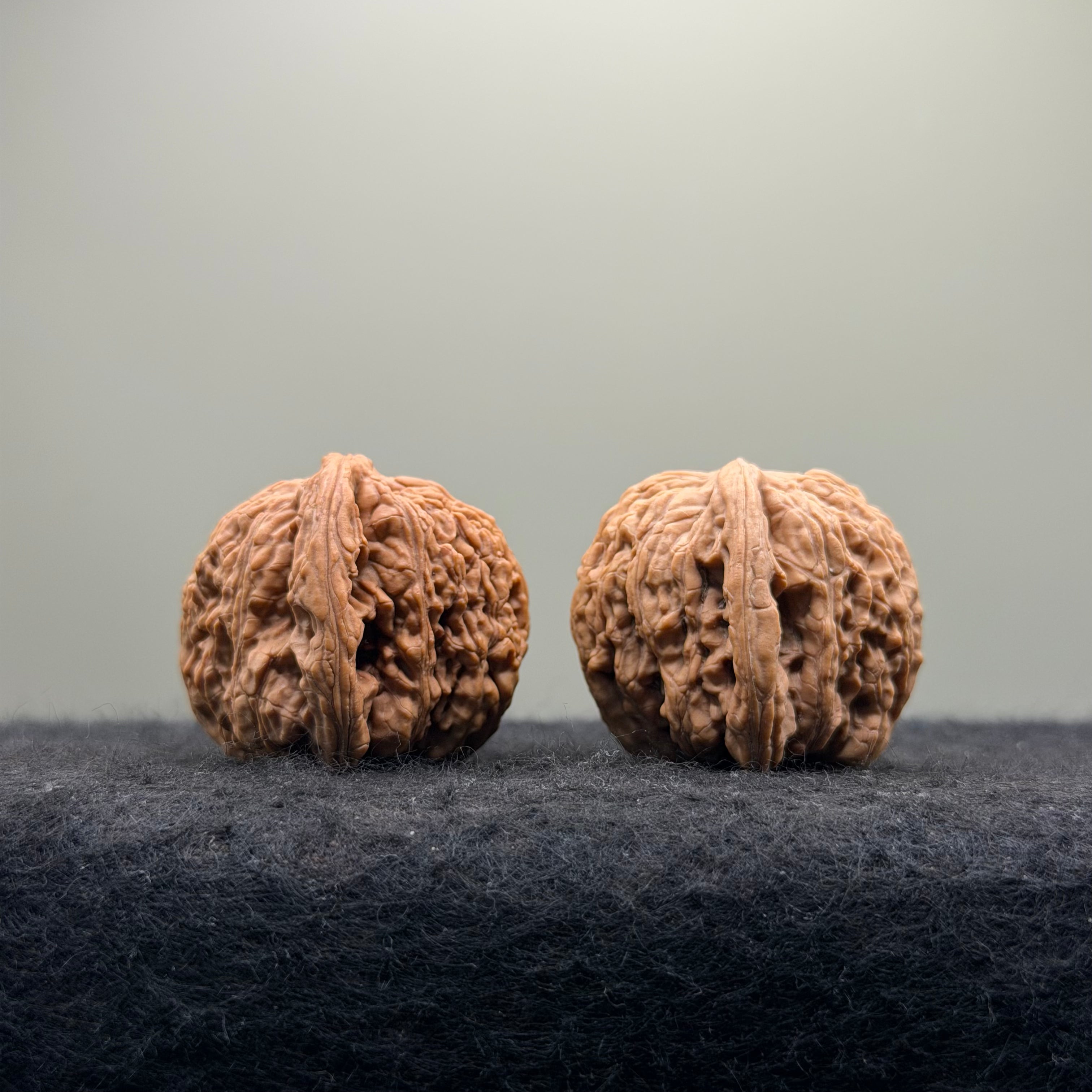 Dense Grain Wenwan Walnut · 37mm · Natural · Entry Ritual