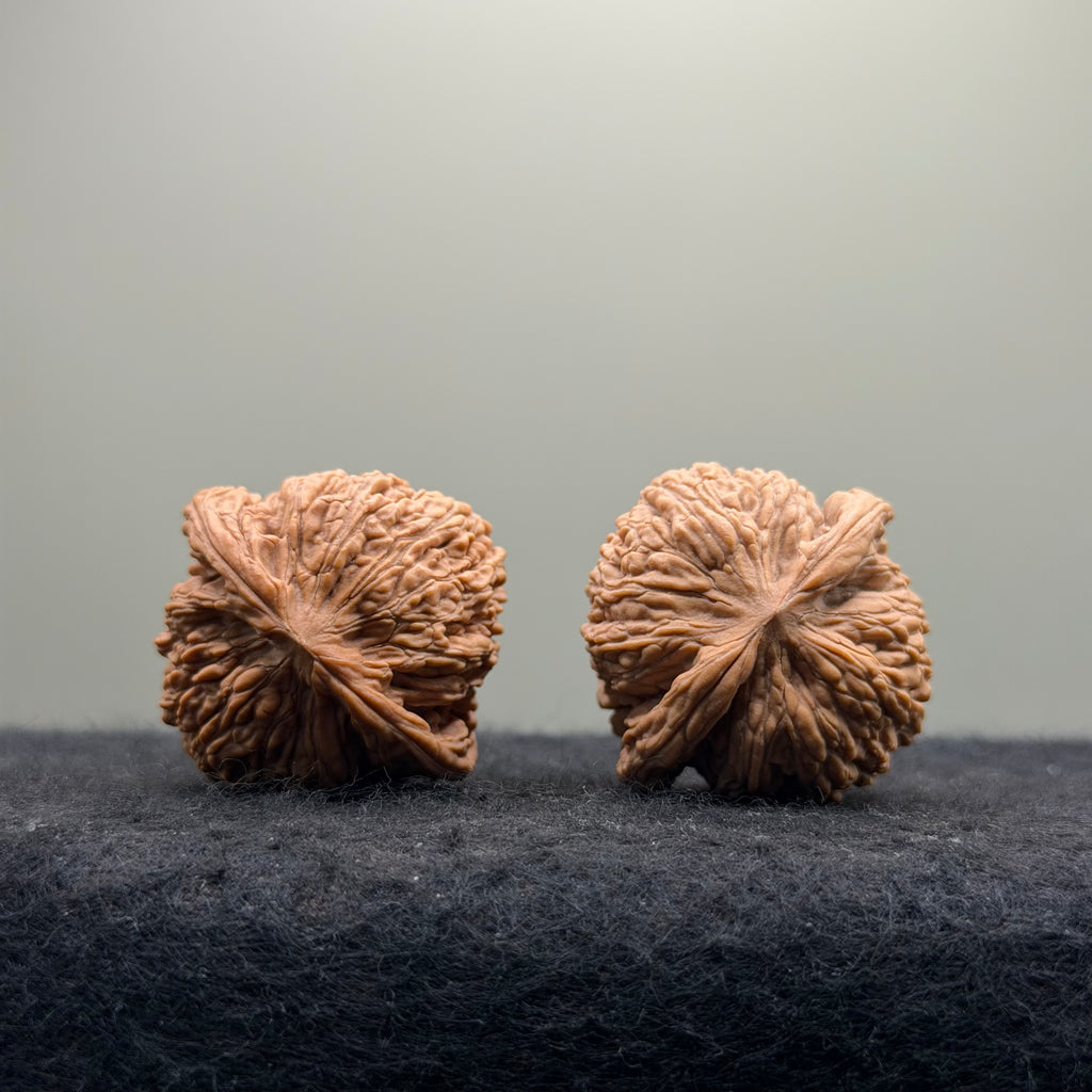 Dense Grain Wenwan Walnut · 37mm · Natural · Entry Ritual