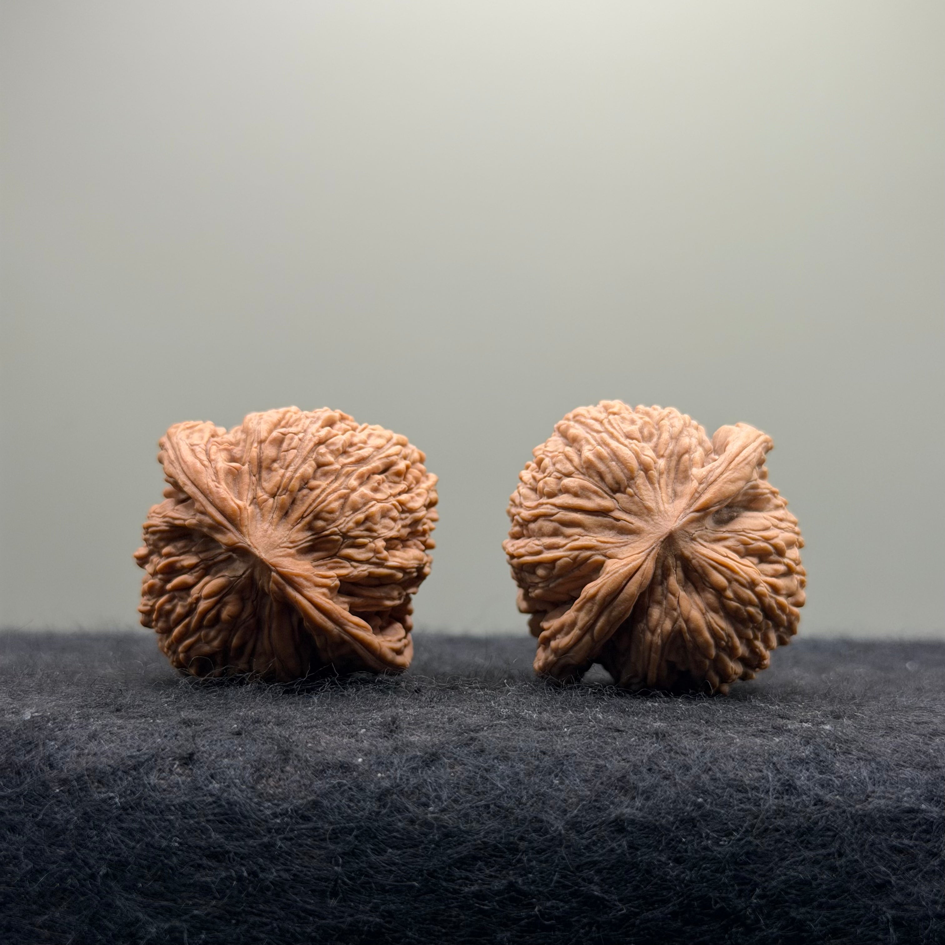 Dense Grain Wenwan Walnut · 37mm · Natural · Entry Ritual