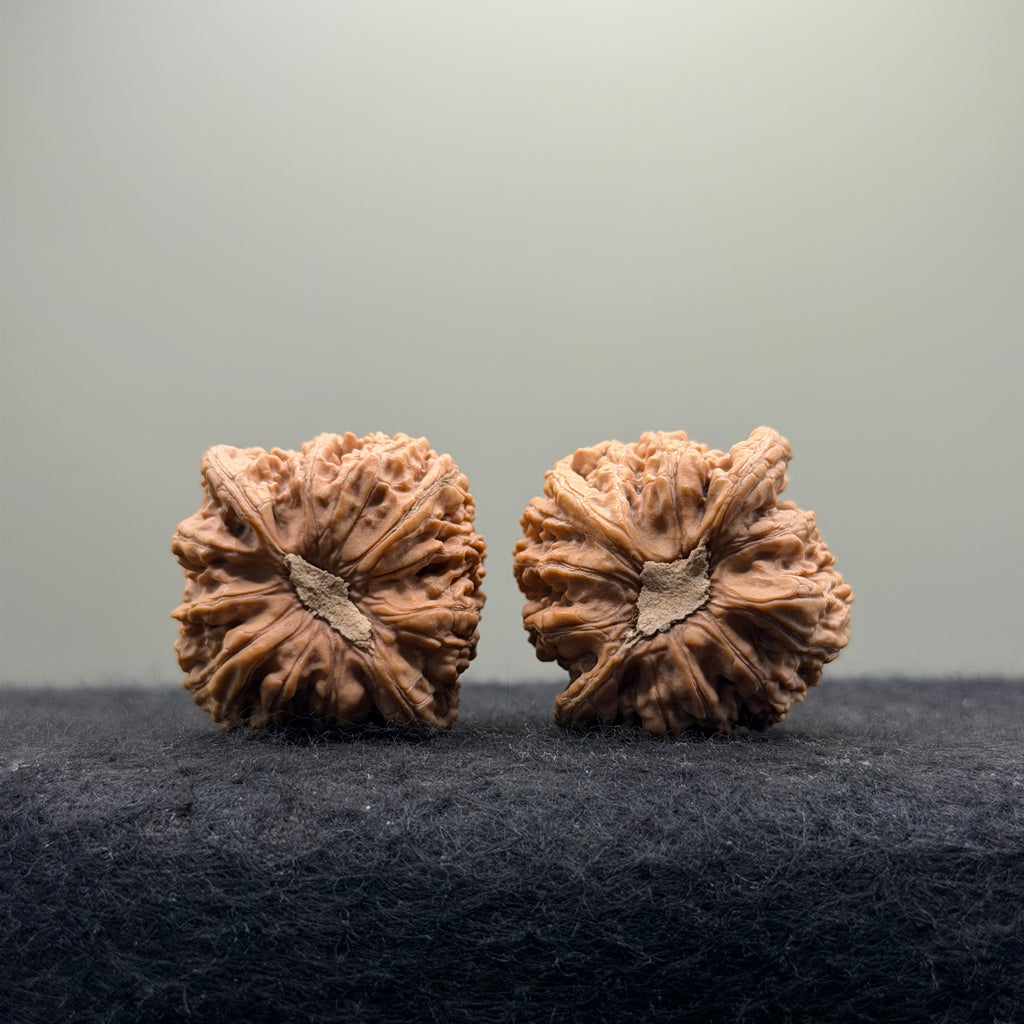Dense Grain Wenwan Walnut · 37mm · Natural · Entry Ritual