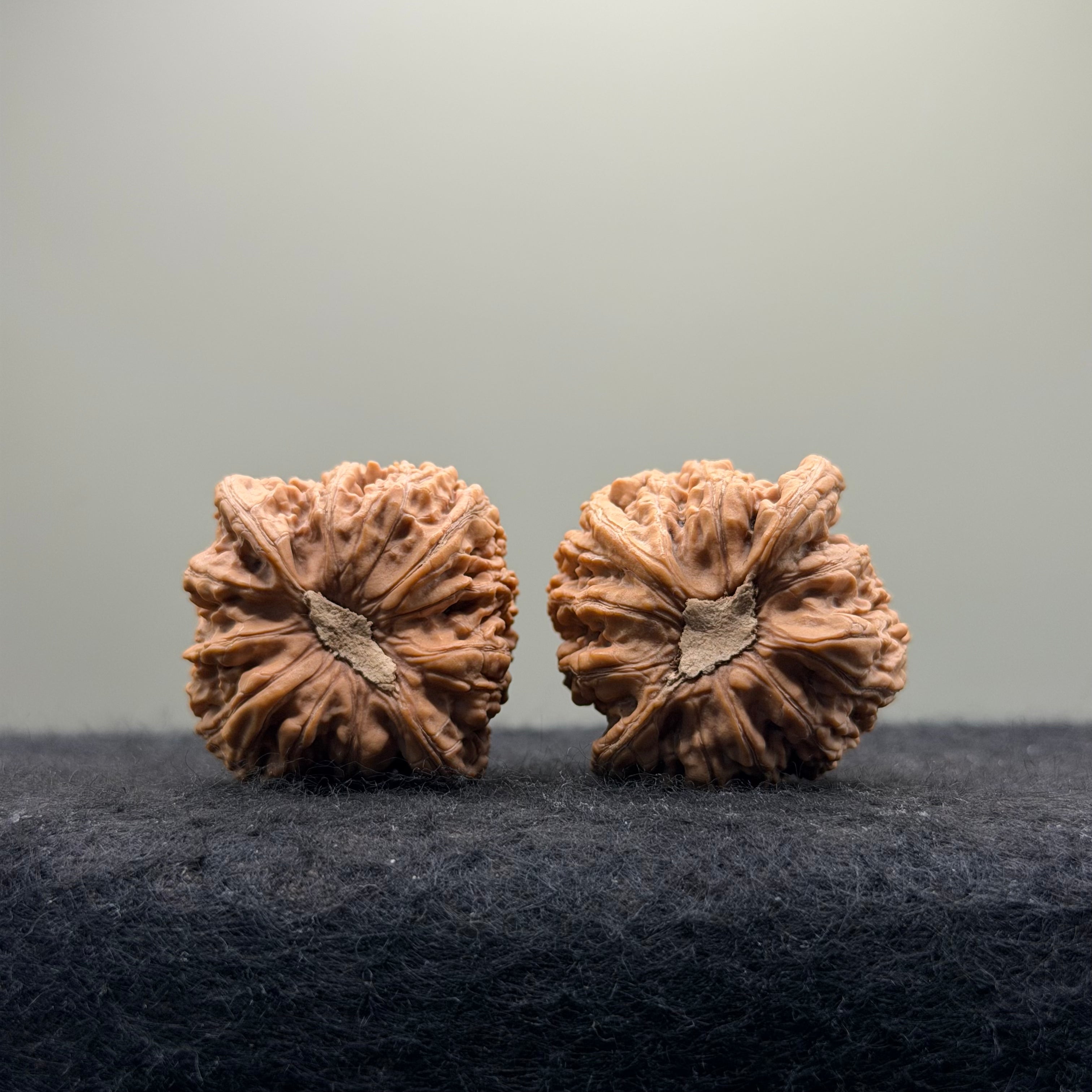 Dense Grain Wenwan Walnut · 37mm · Natural · Entry Ritual