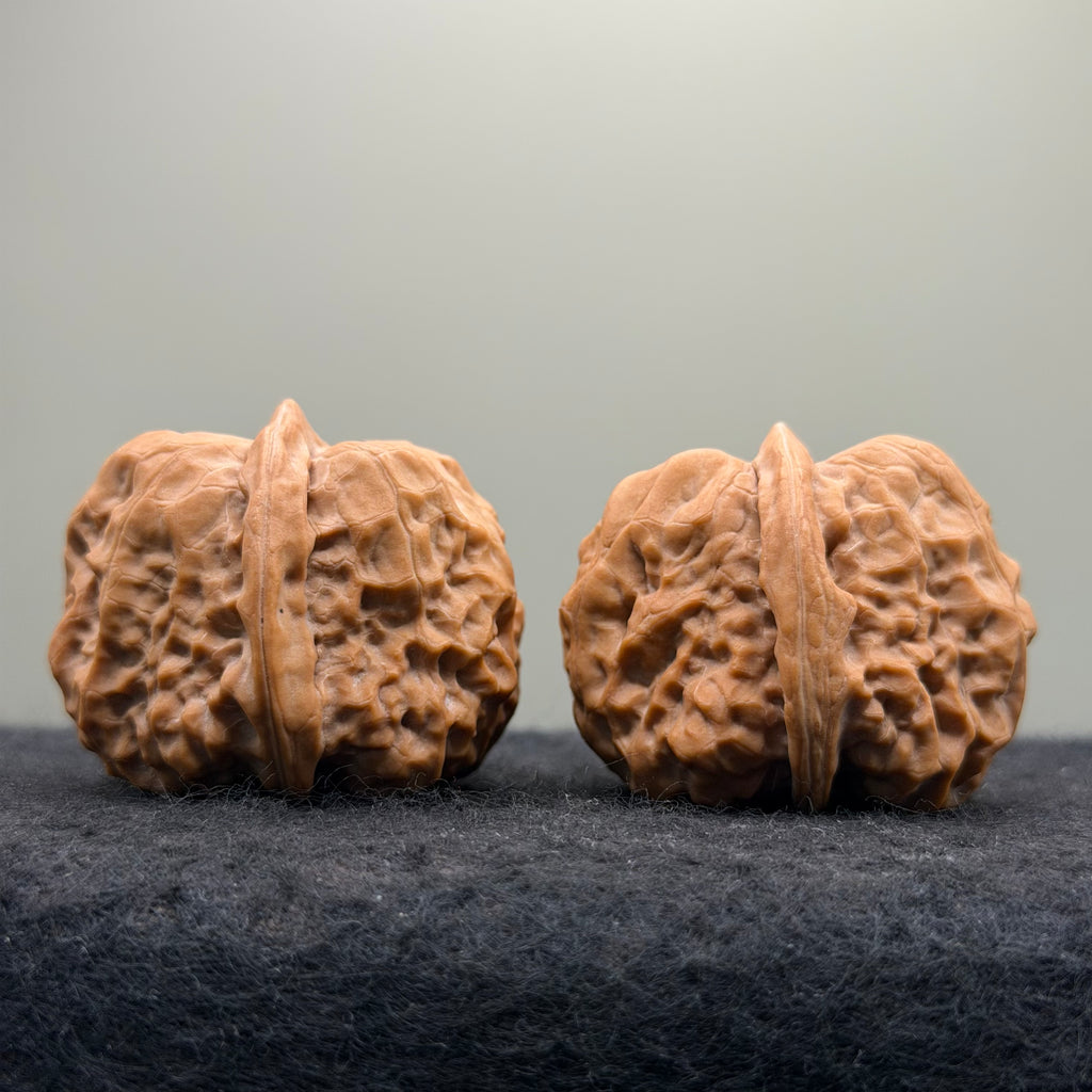 Toad Head Wenwan Walnut · 38mm · Natural · Collector Ritual