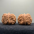 Toad Head Wenwan Walnut · 38mm · Natural · Collector Ritual