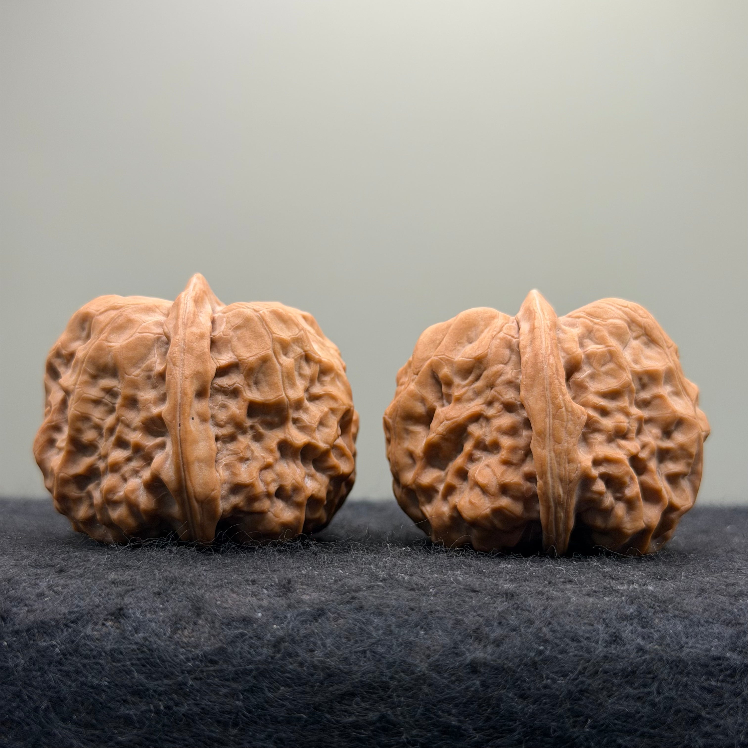 Toad Head Wenwan Walnut · 38mm · Natural · Collector Ritual