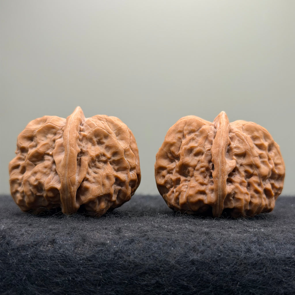 Toad Head Wenwan Walnut · 38mm · Natural · Collector Ritual