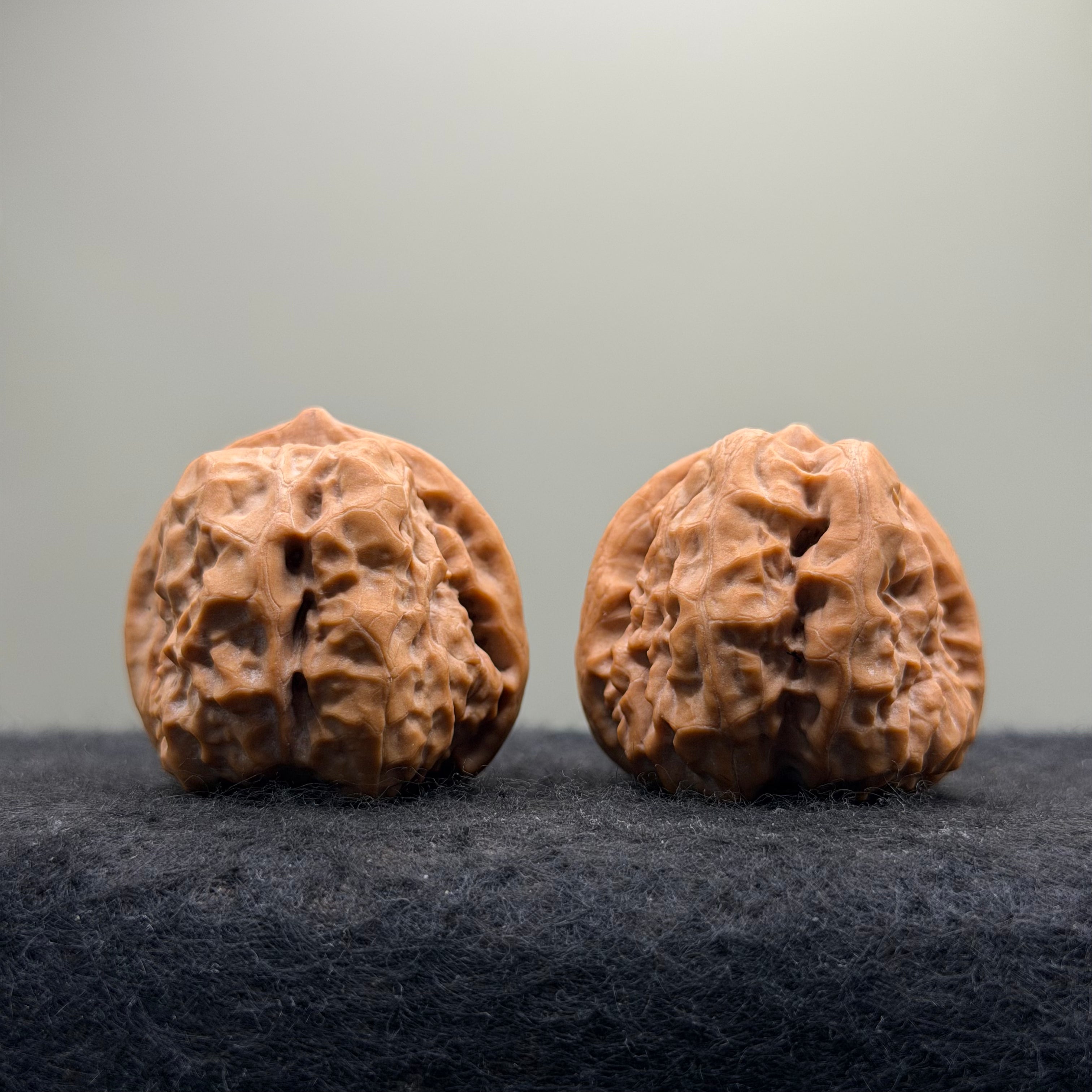 Toad Head Wenwan Walnut · 38mm · Natural · Collector Ritual