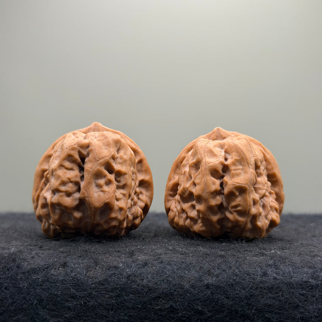 Toad Head Wenwan Walnut · 38mm · Natural · Collector Ritual