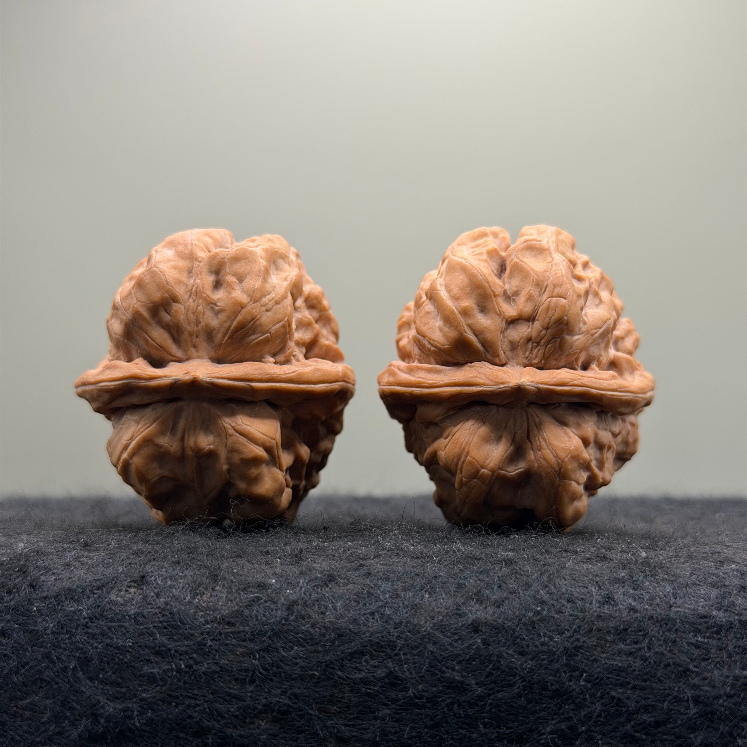 Toad Head Wenwan Walnut · 38mm · Natural · Collector Ritual