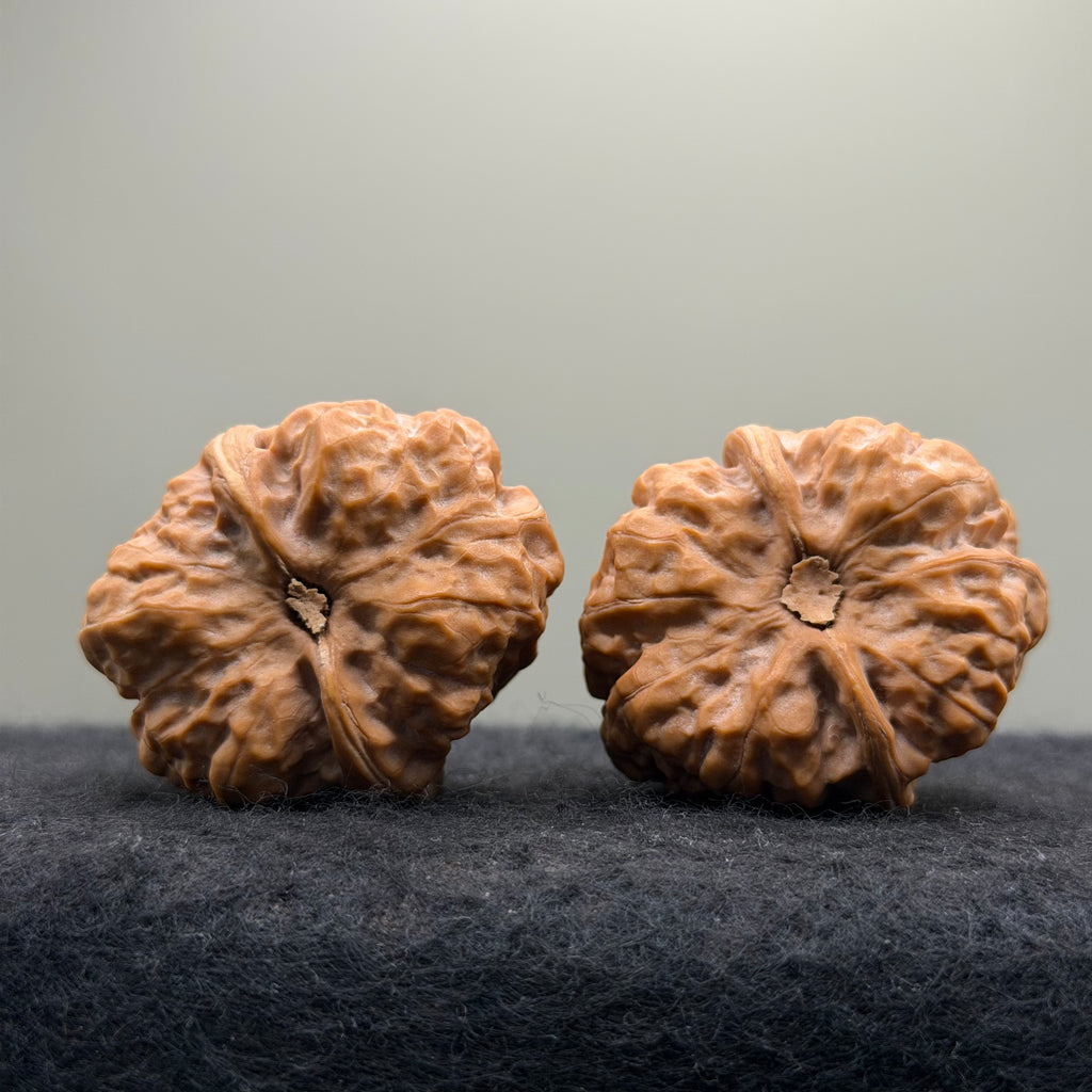 Toad Head Wenwan Walnut · 38mm · Natural · Collector Ritual