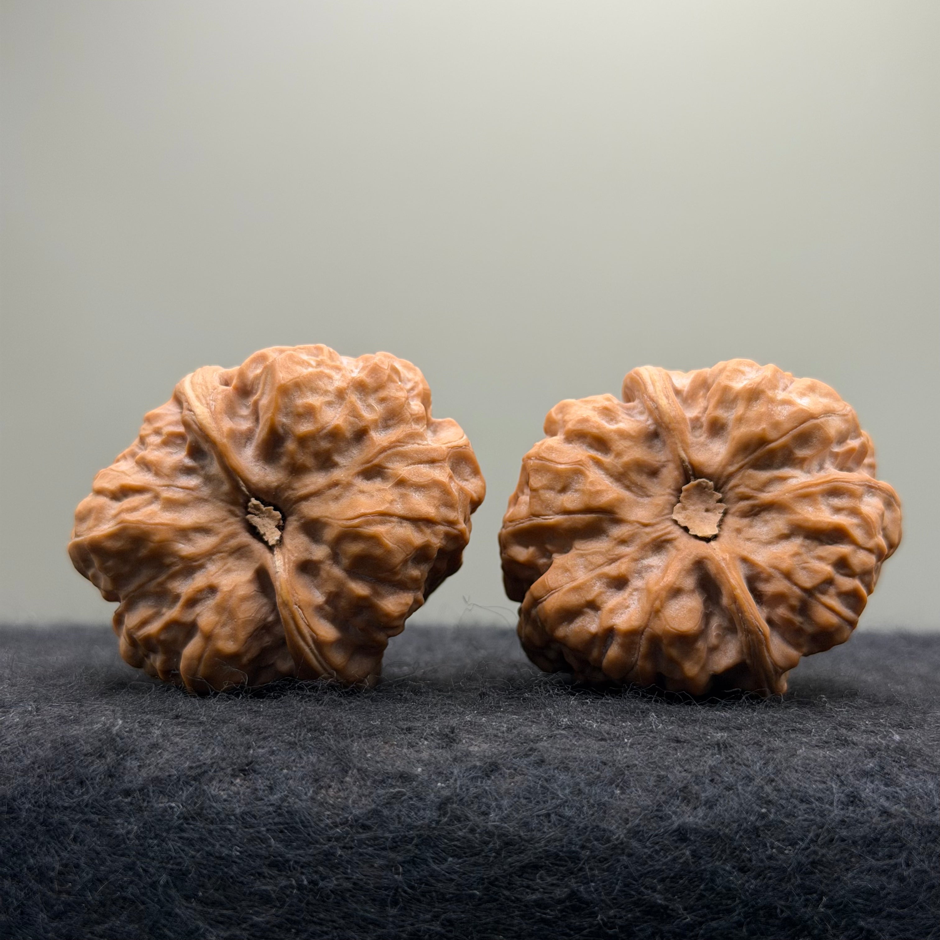 Toad Head Wenwan Walnut · 38mm · Natural · Collector Ritual