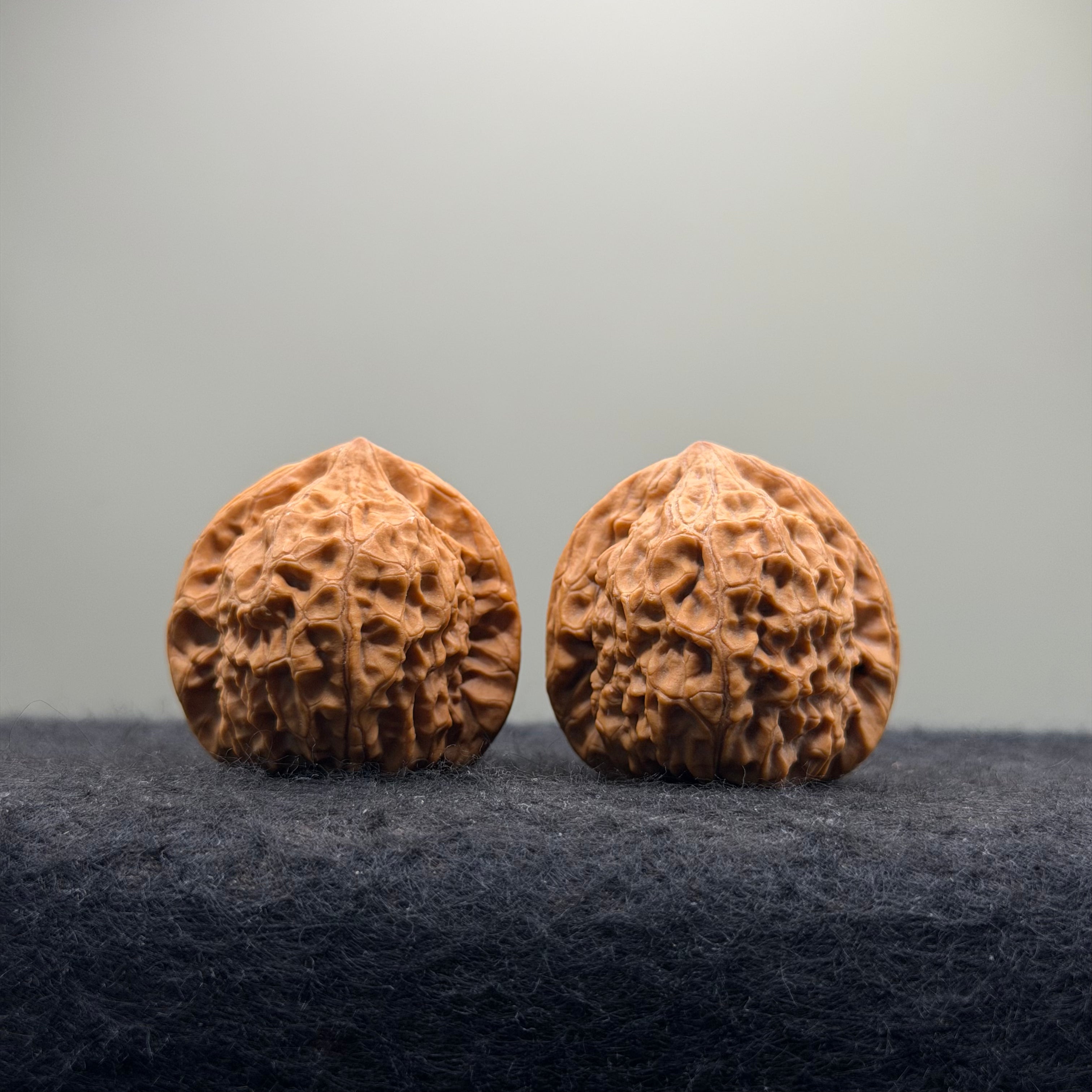 Dragon Prince Wenwan Walnut · 35mm · Natural · Select Ritual