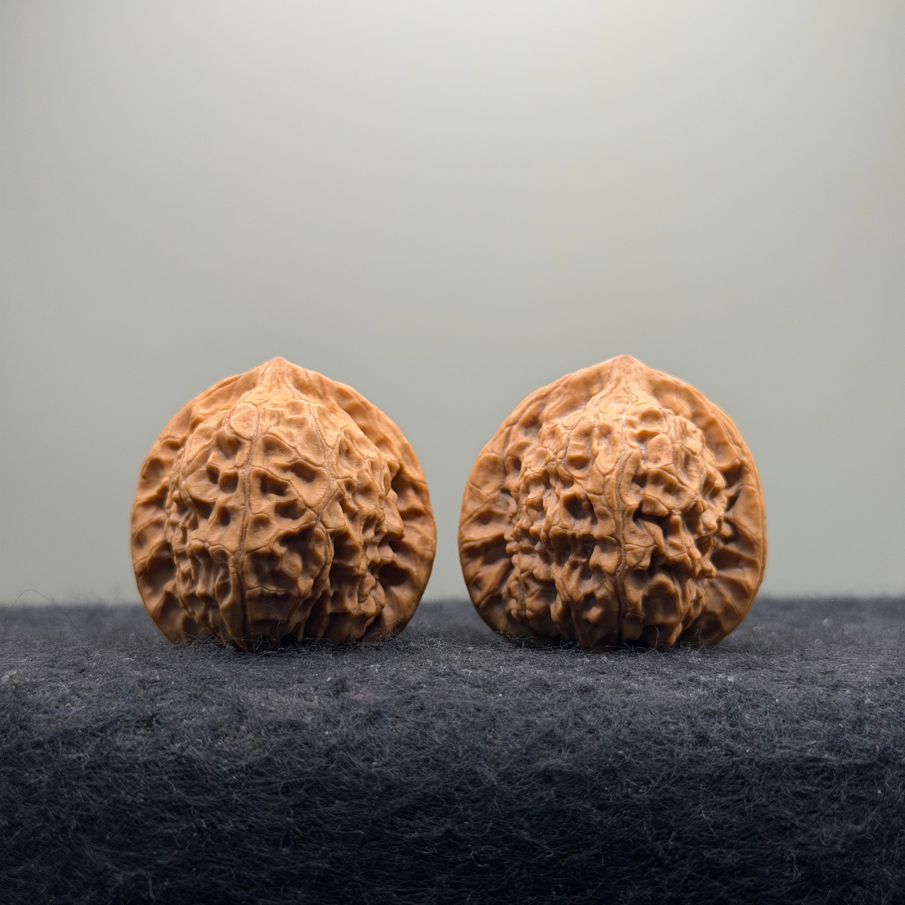 Dragon Prince Wenwan Walnut · 35mm · Natural · Select Ritual