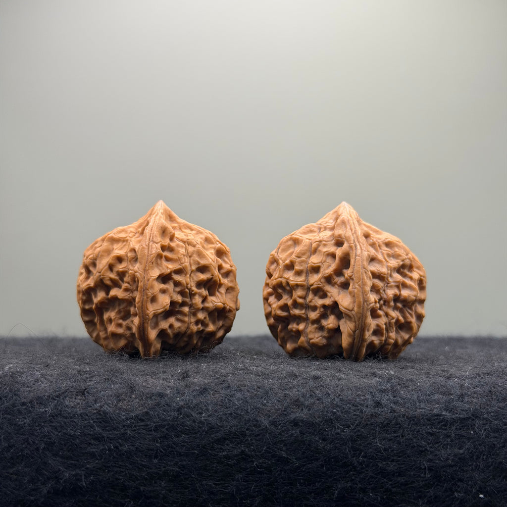 Dragon Prince Wenwan Walnut · 35mm · Natural · Select Ritual