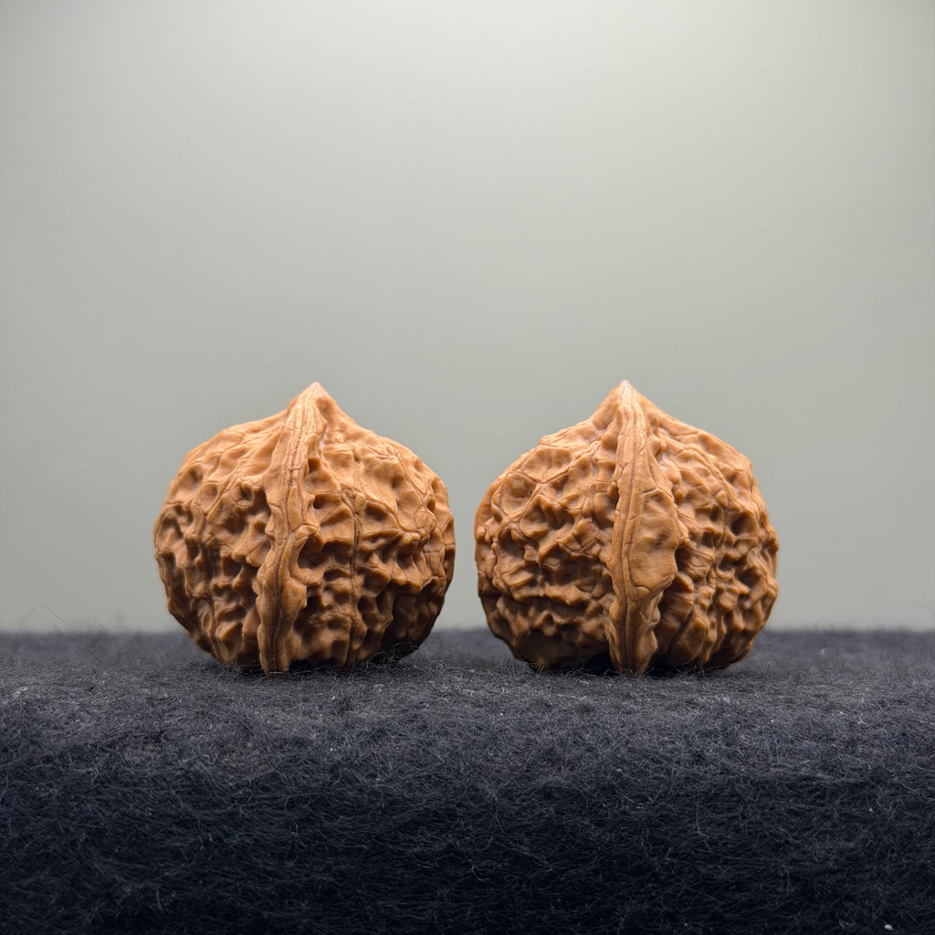 Dragon Prince Wenwan Walnut · 35mm · Natural · Select Ritual
