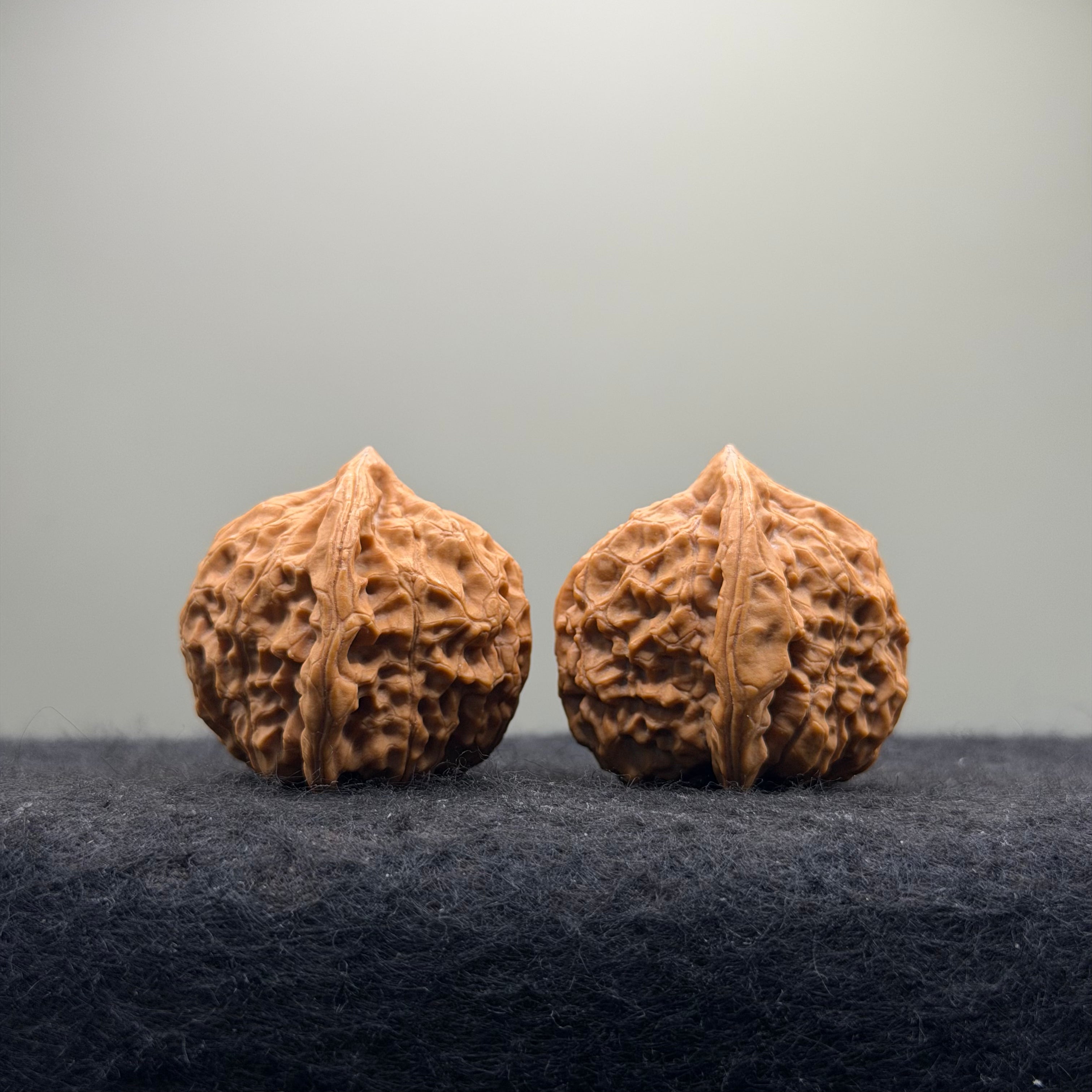 Dragon Prince Wenwan Walnut · 35mm · Natural · Select Ritual