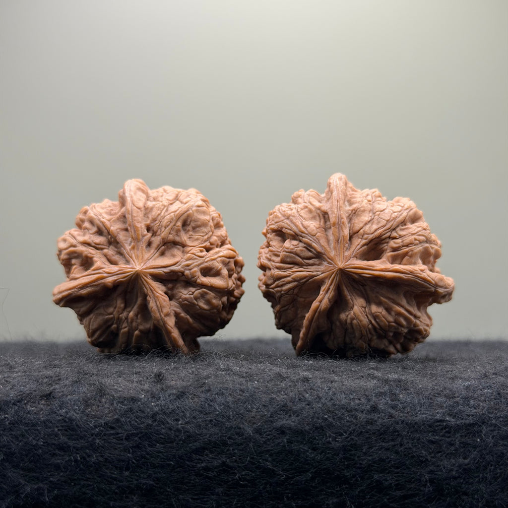 Four-Rib Wenwan Walnut · 36mm · Natural · Entry Ritual
