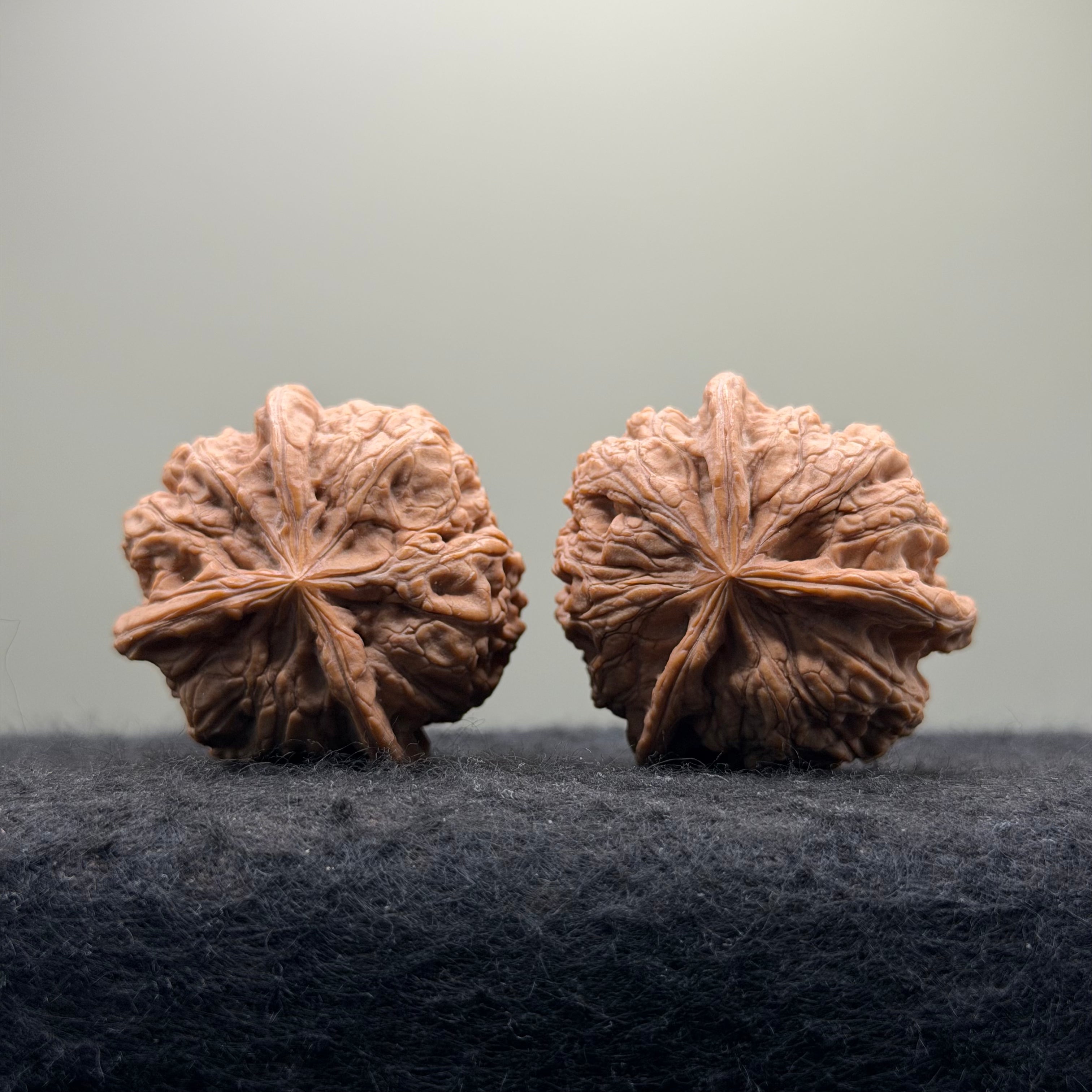 Four-Rib Wenwan Walnut · 36mm · Natural · Entry Ritual