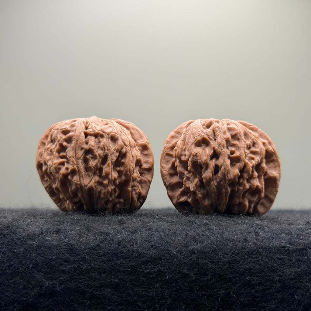 Four-Rib Wenwan Walnut · 36mm · Natural · Entry Ritual