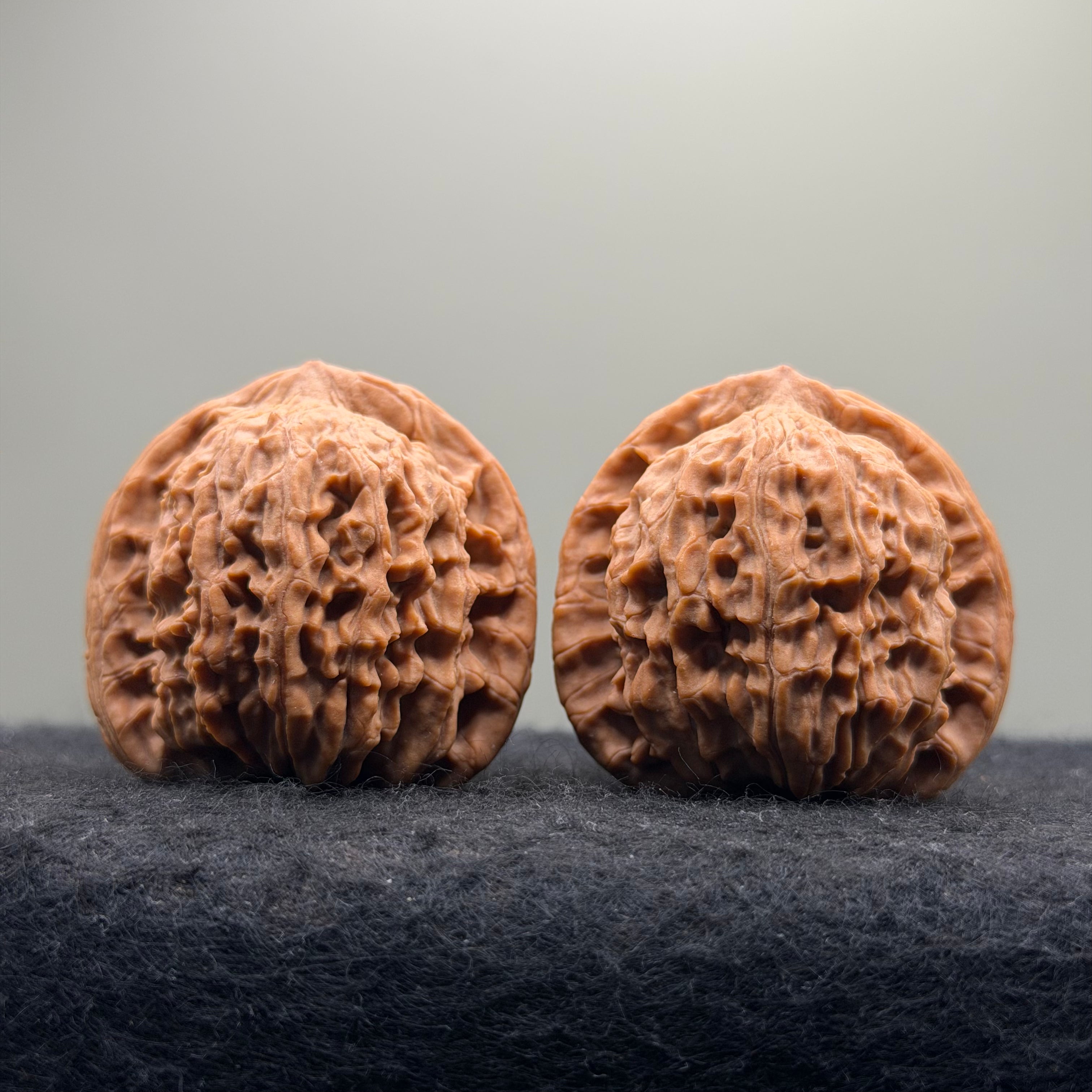 Red Lion Head Wenwan Walnut · 42mm · Natural · Premium Ritual