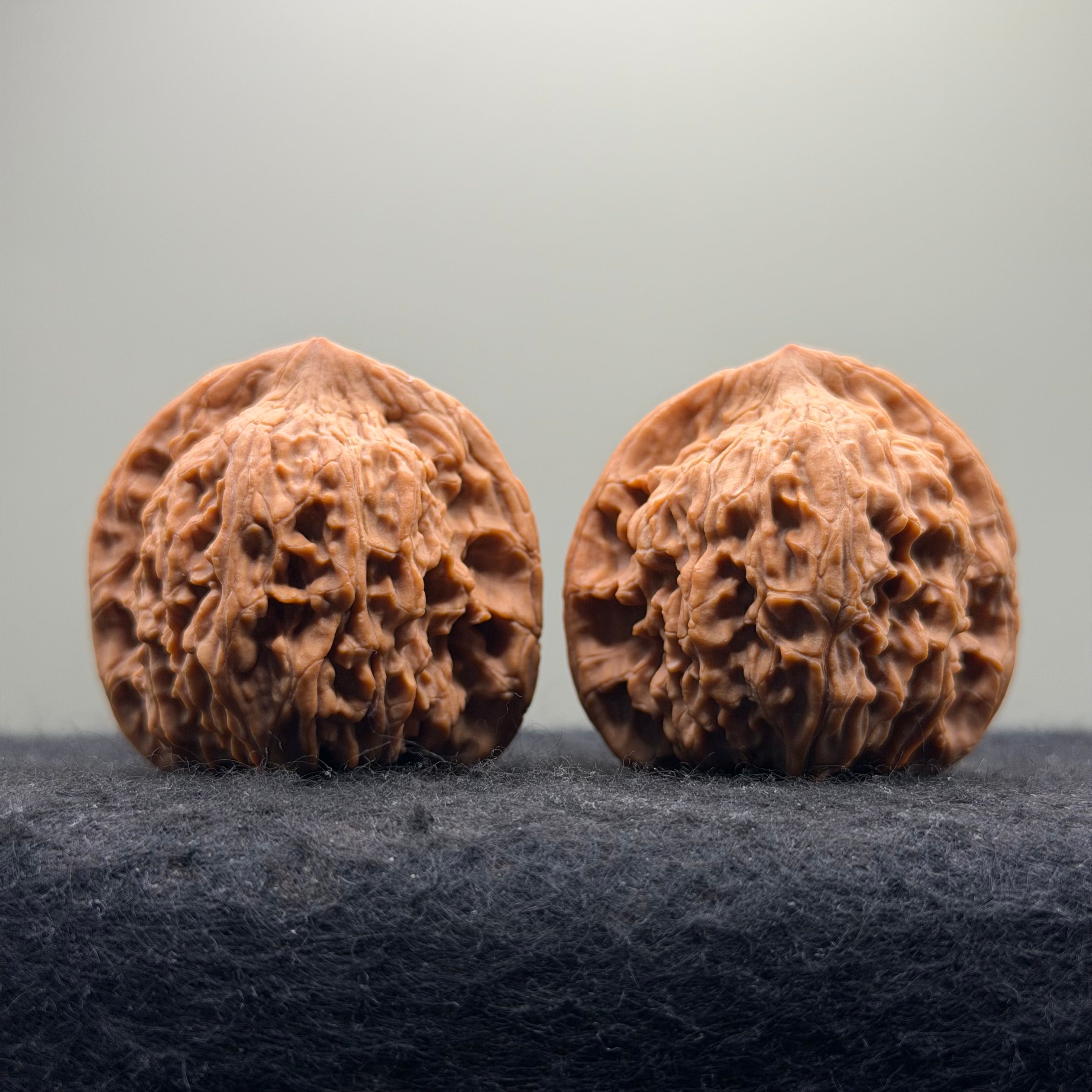 Red Lion Head Wenwan Walnut · 42mm · Natural · Premium Ritual