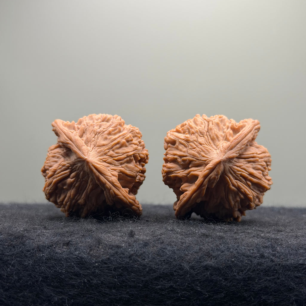 Red Lion Head Wenwan Walnut · 42mm · Natural · Premium Ritual