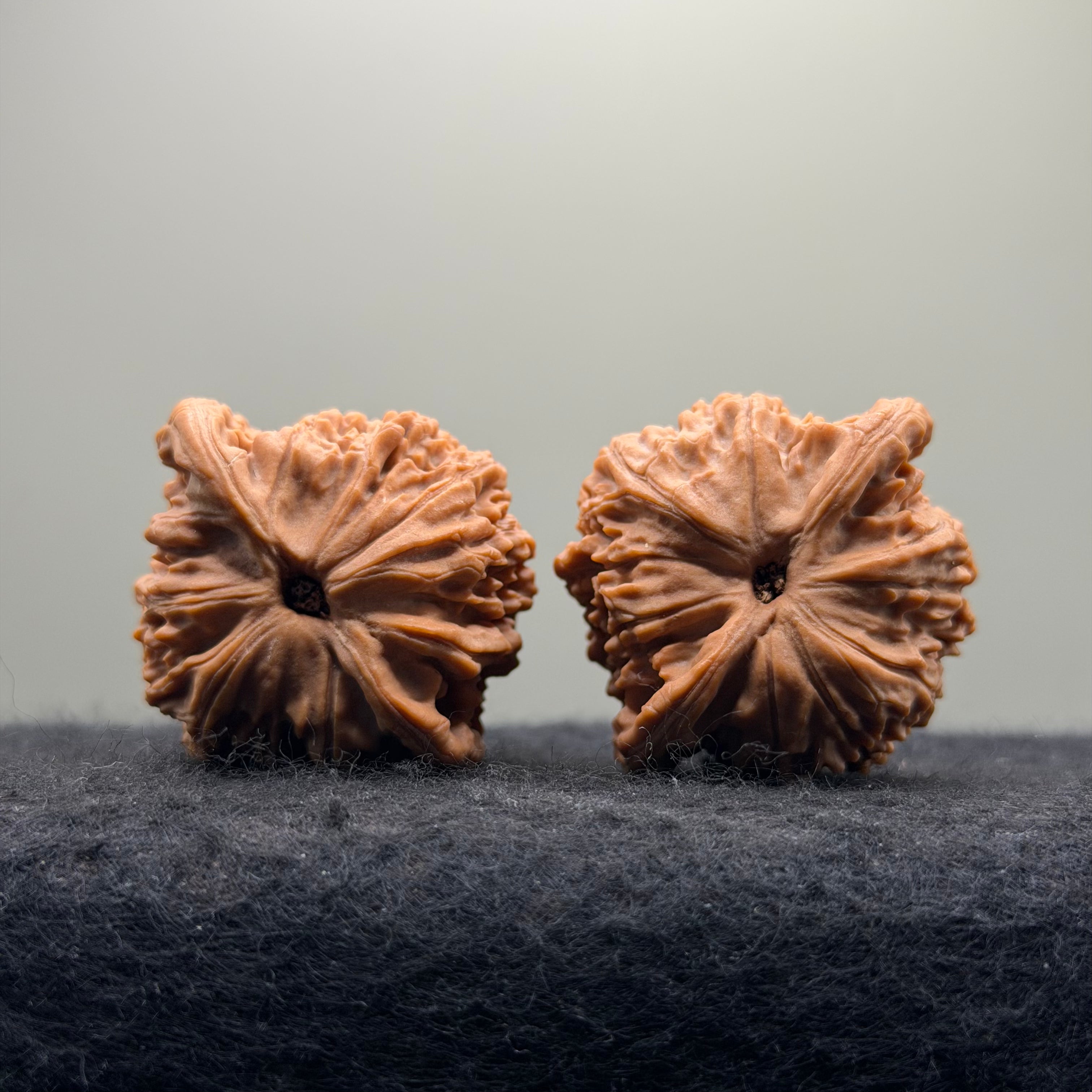 Red Lion Head Wenwan Walnut · 42mm · Natural · Premium Ritual