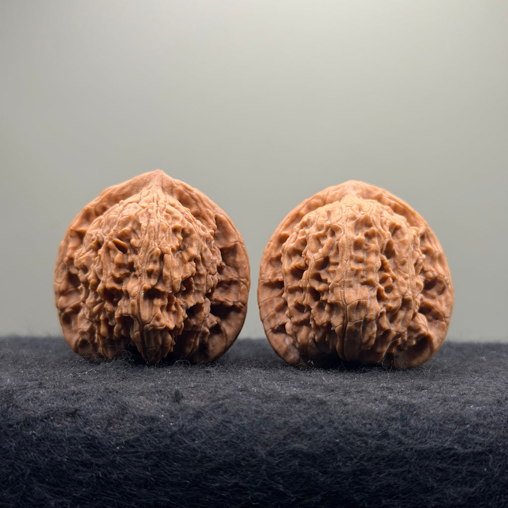 Red Lion Head Wenwan Walnut · 41mm · Natural · Premium Ritual