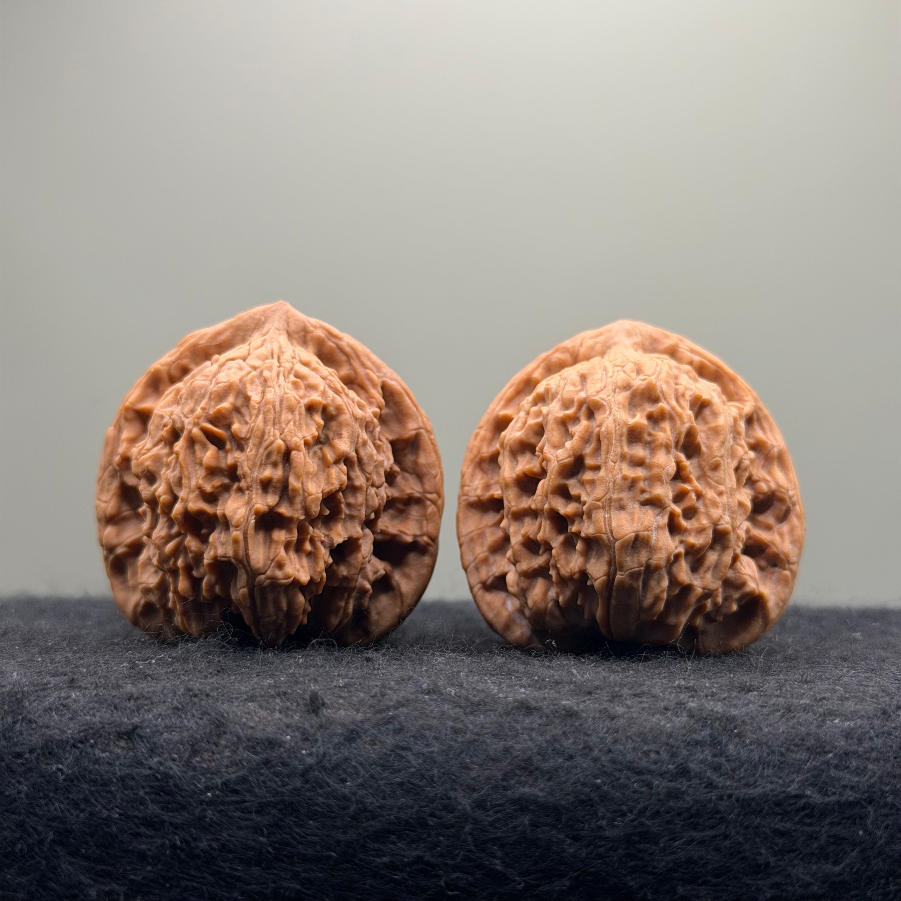 Red Lion Head Wenwan Walnut · 41mm · Natural · Premium Ritual