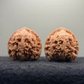 Red Lion Head Wenwan Walnut · 41mm · Natural · Premium Ritual