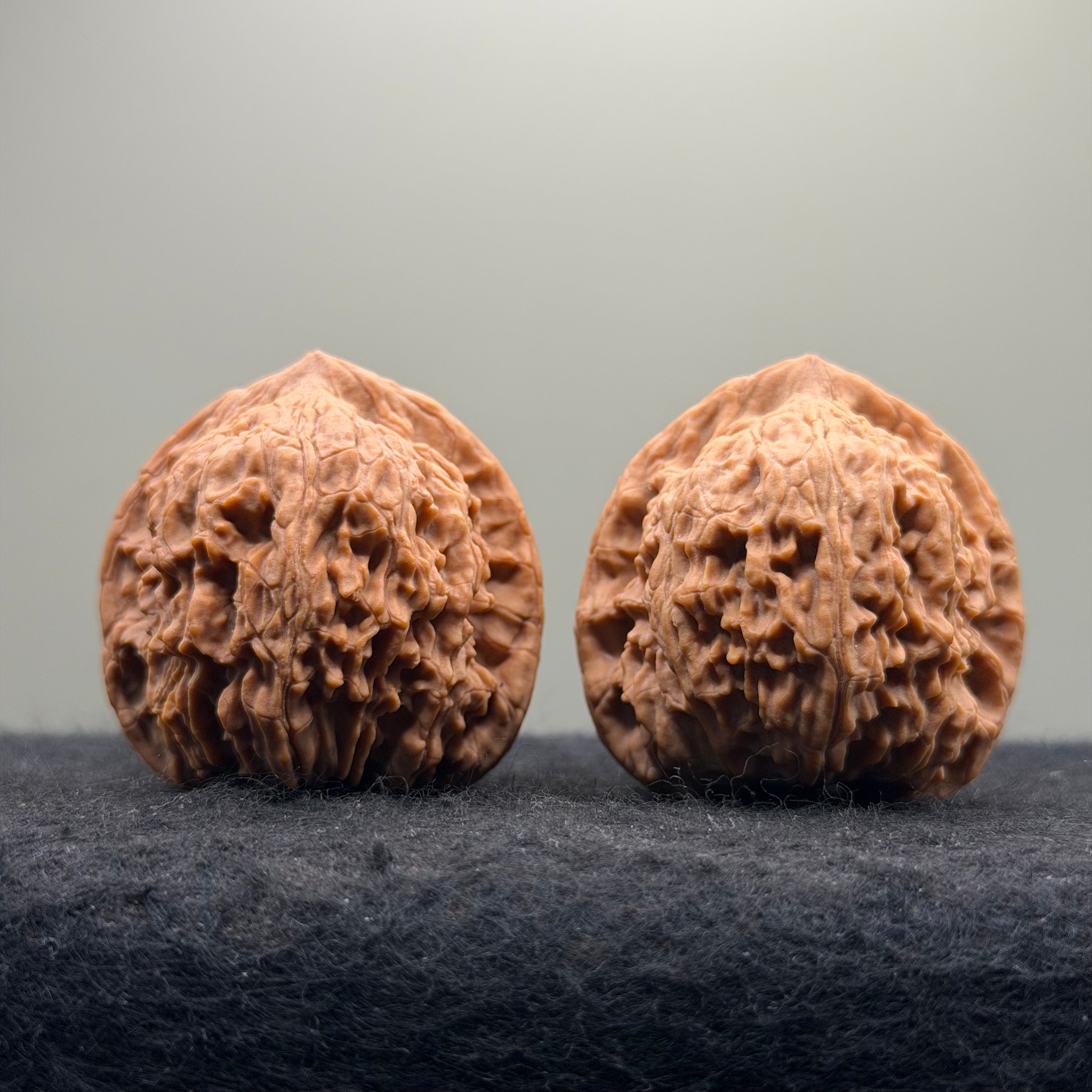 Red Lion Head Wenwan Walnut · 41mm · Natural · Premium Ritual