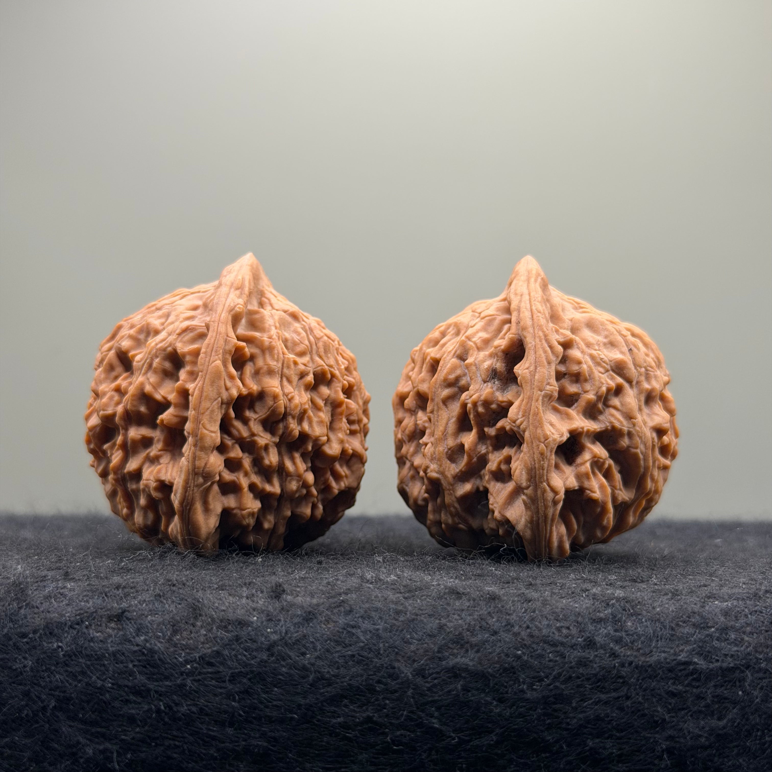Red Lion Head Wenwan Walnut · 41mm · Natural · Premium Ritual
