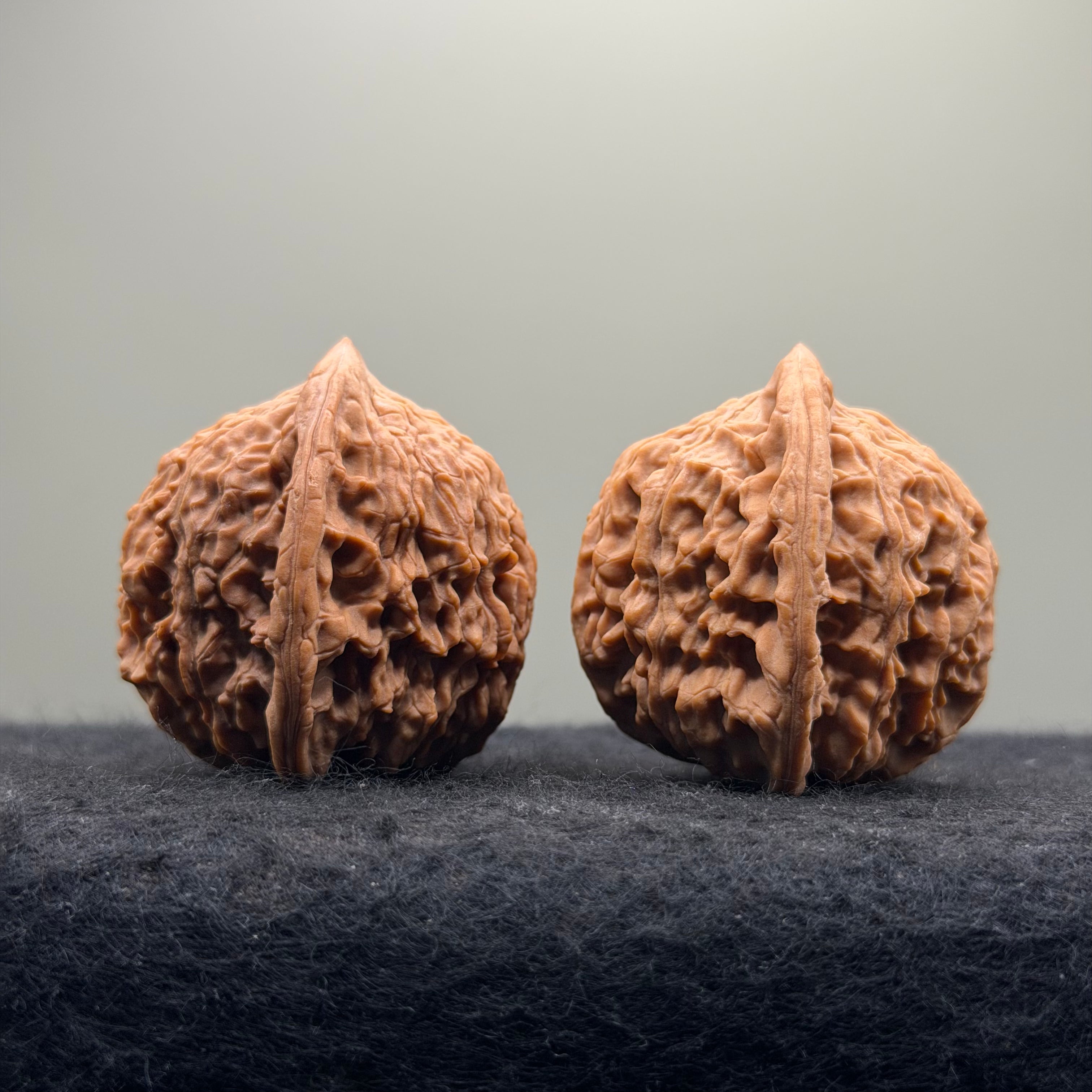 Red Lion Head Wenwan Walnut · 41mm · Natural · Premium Ritual