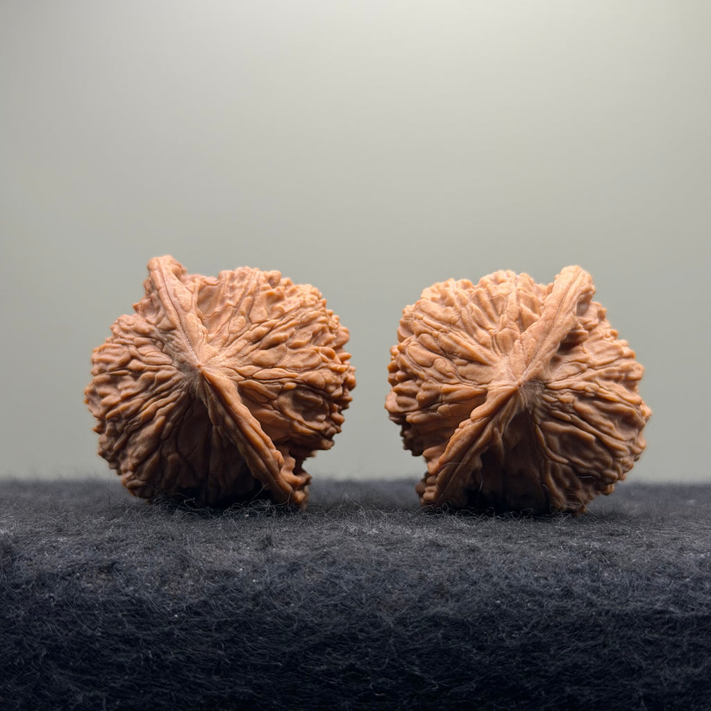 Red Lion Head Wenwan Walnut · 41mm · Natural · Premium Ritual