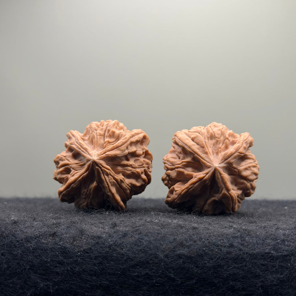 Jade Seal Four-Rib Wenwan Walnut · 35mm · Natural · Select Ritual