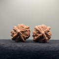 Jade Seal Four-Rib Wenwan Walnut · 35mm · Natural · Select Ritual