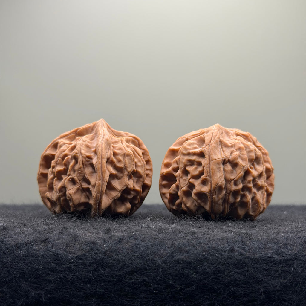 Jade Seal Four-Rib Wenwan Walnut · 35mm · Natural · Select Ritual