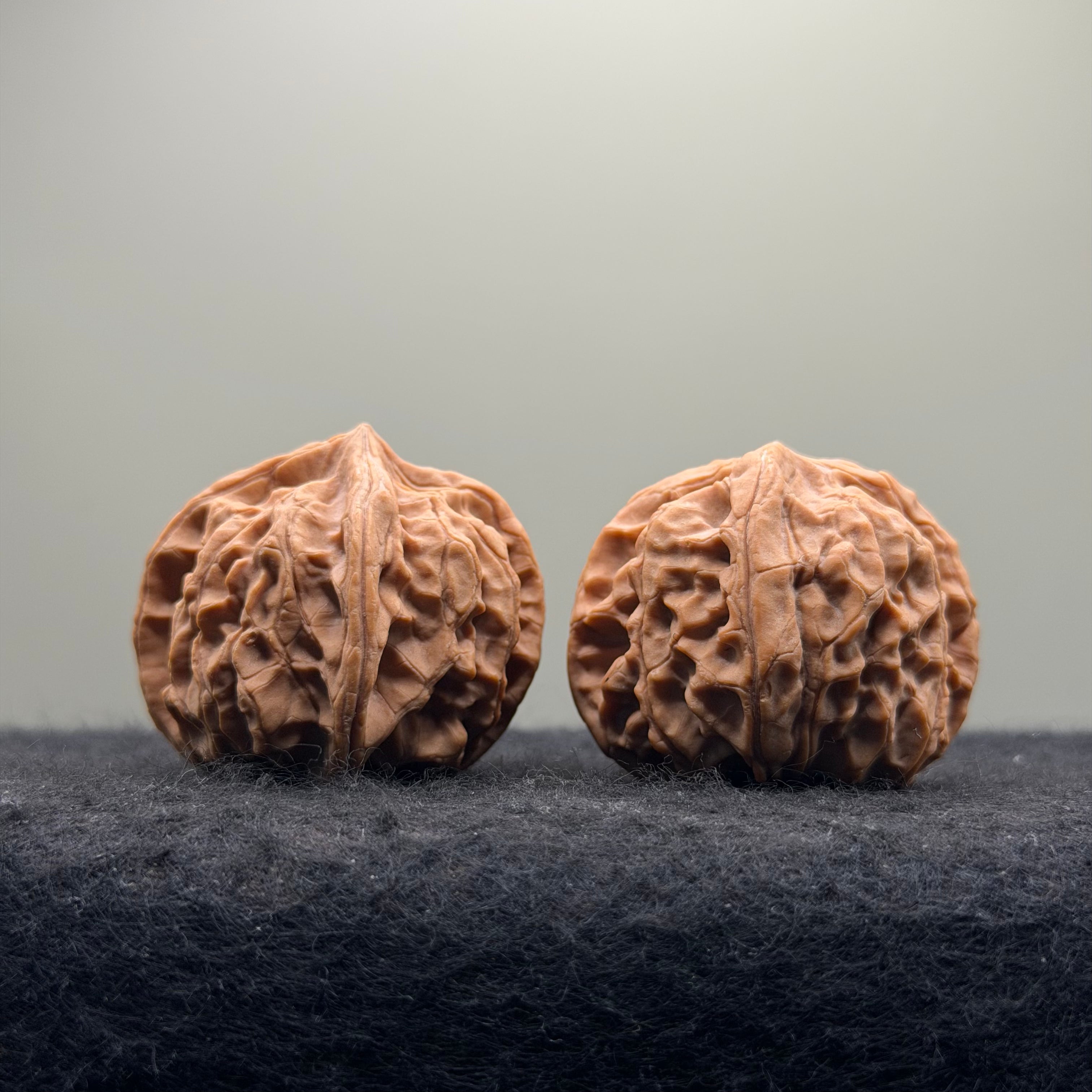 Jade Seal Four-Rib Wenwan Walnut · 35mm · Natural · Select Ritual