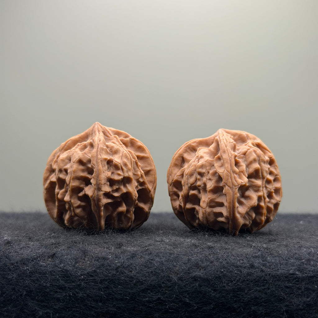 Jade Seal Four-Rib Wenwan Walnut · 35mm · Natural · Select Ritual